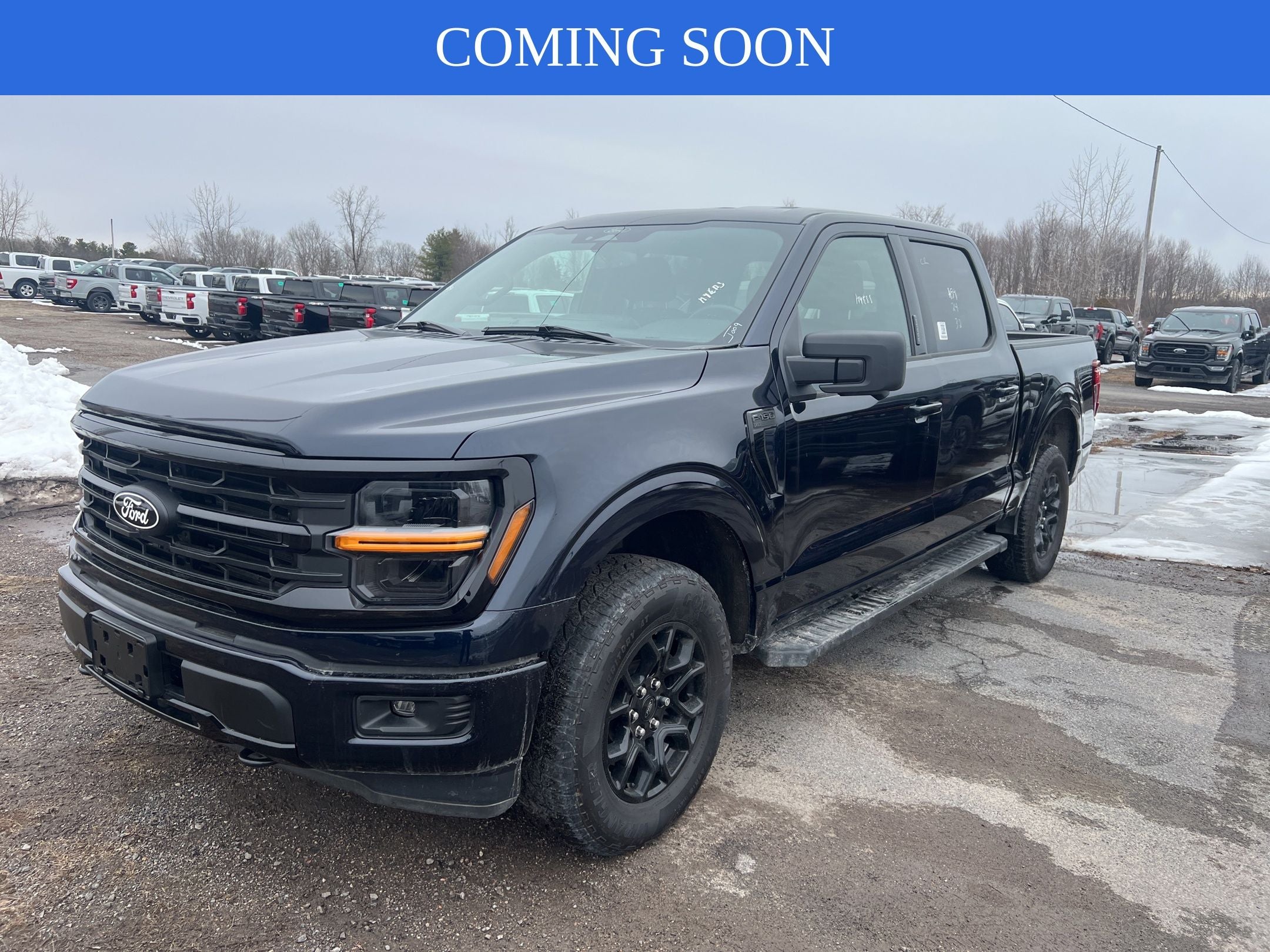 2024 Ford F-150 XLT