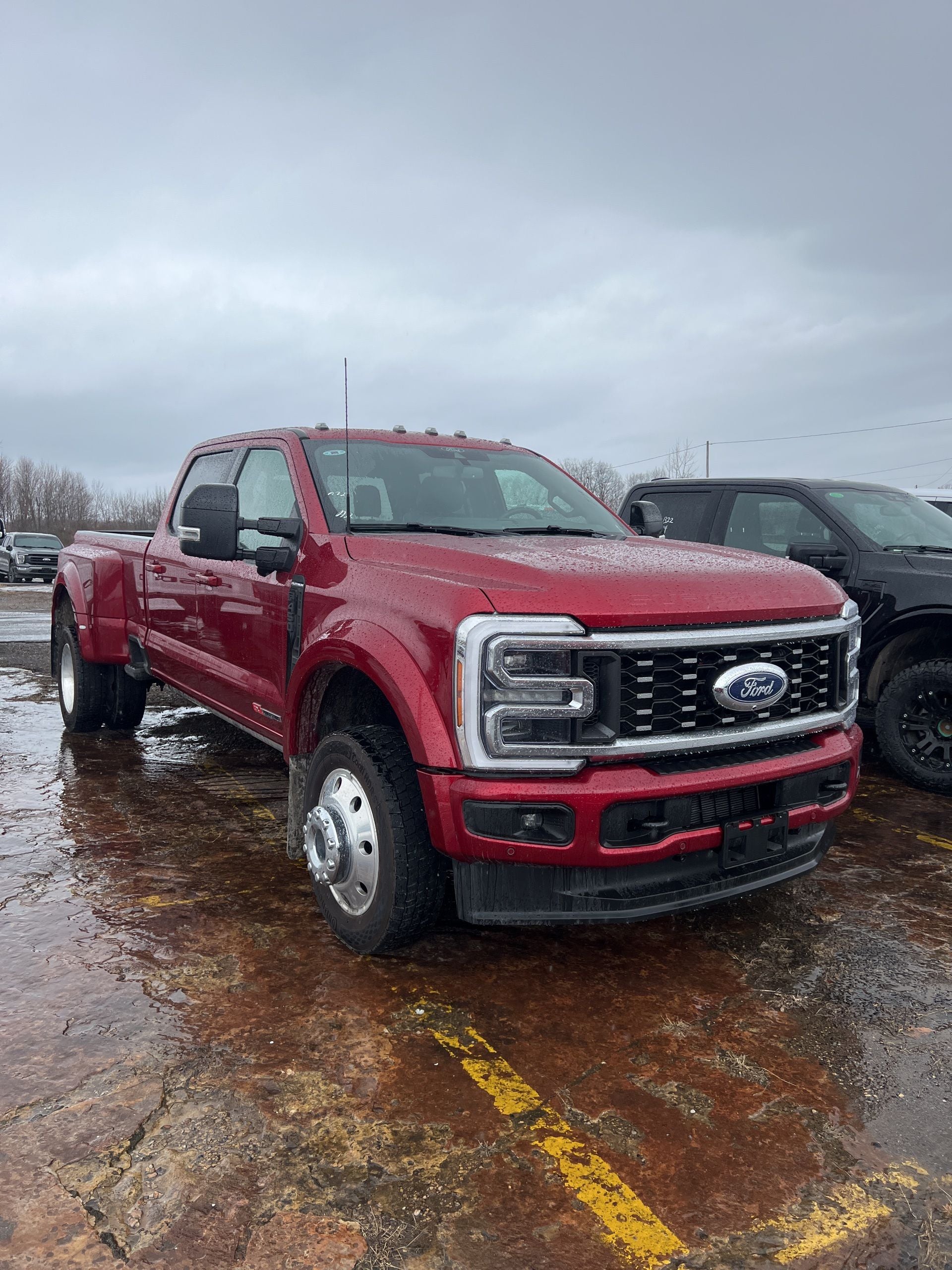 2025 Ford F-450SD Platinum DRW