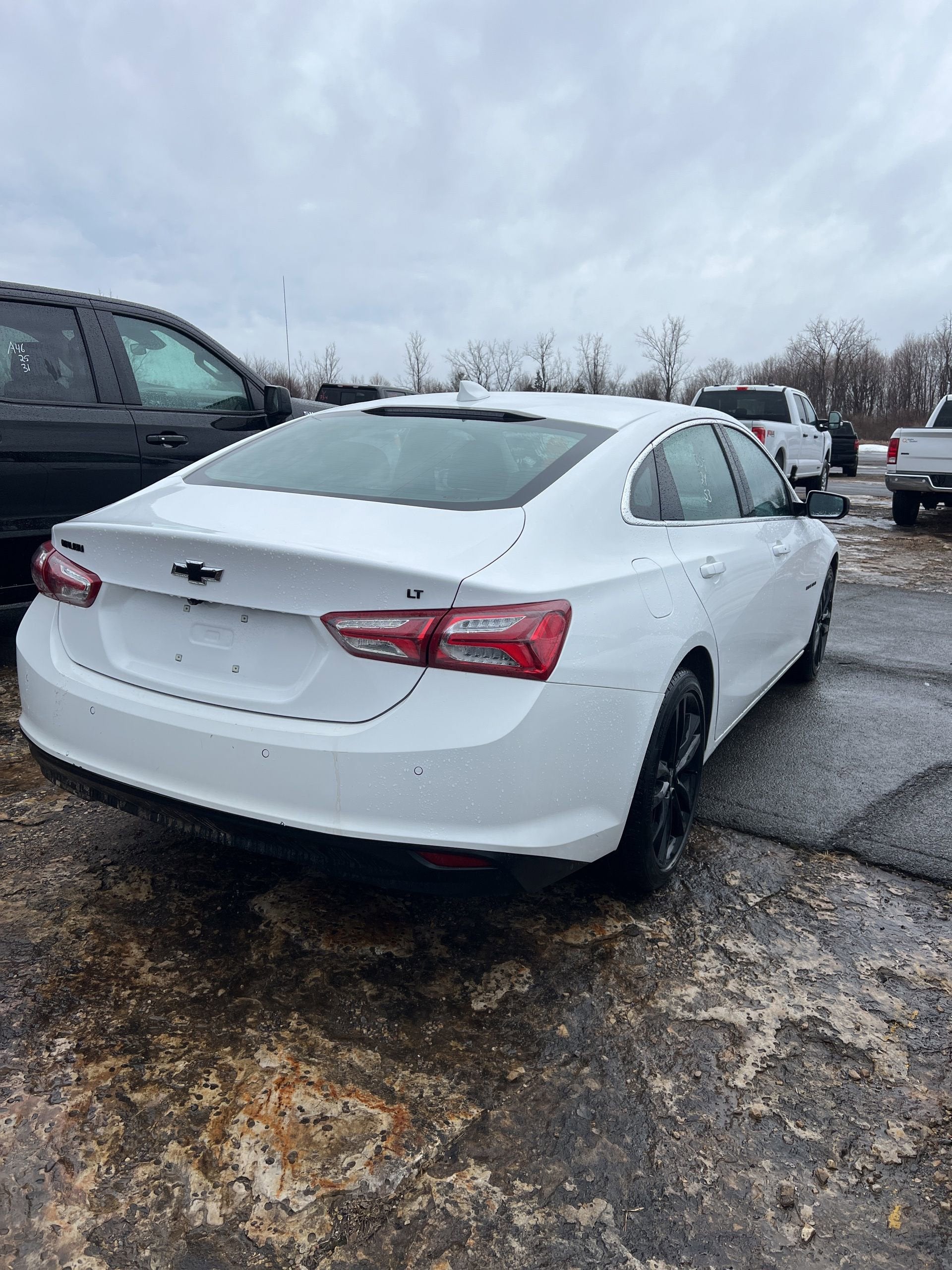 2024 Chevrolet Malibu 1LT